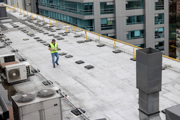 Best Roof Moss and Algae Removal  in Chebanse, IL