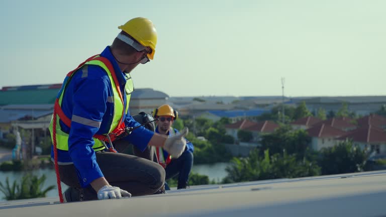 Best Roof Maintenance and Cleaning  in Chebanse, IL