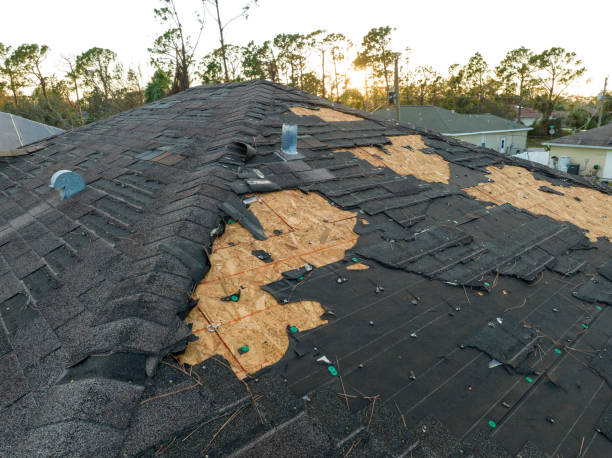 Best Sheet Metal Roofing  in Chebanse, IL