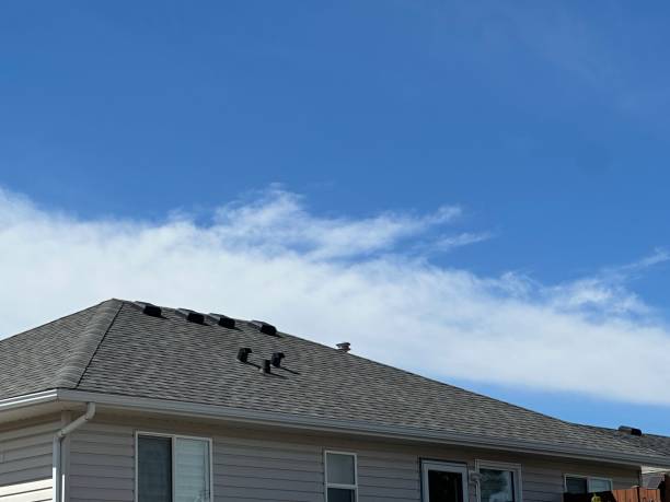 Best Roof Inspection  in Chebanse, IL